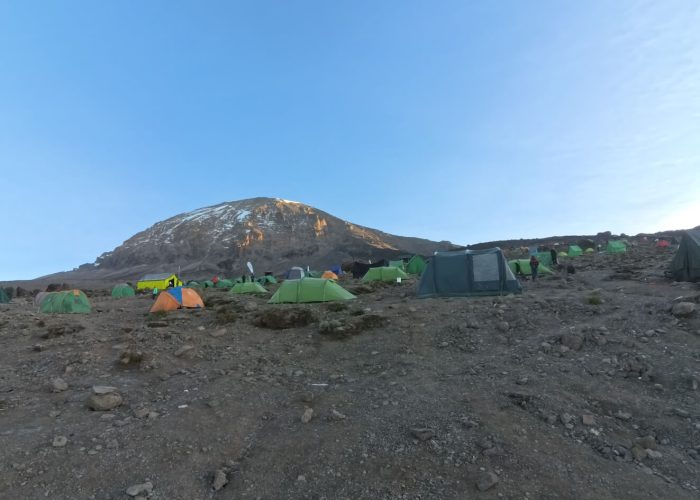 machame447
