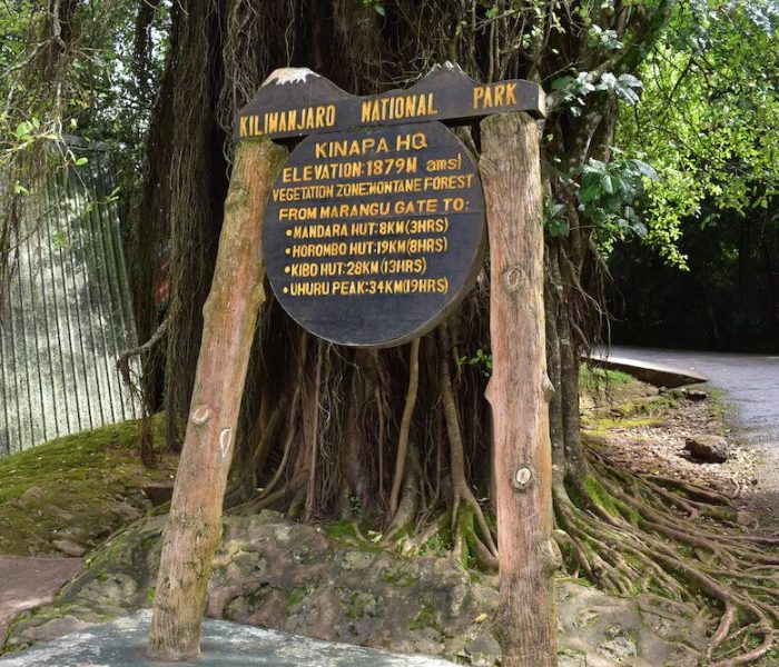 marangu 6 days1