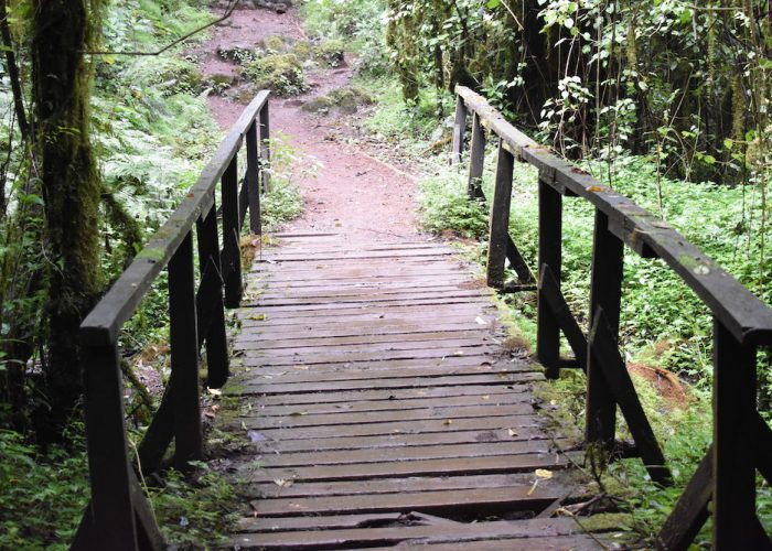 marangu kili3