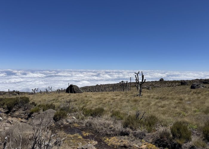 marangu kili6