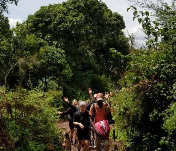 marangu route333